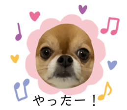 629547232