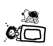 629555492