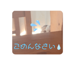 629555753
