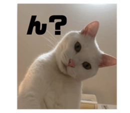 629556140