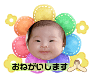 629556175