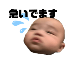 629557645
