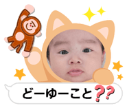 629600814