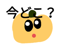 629602938