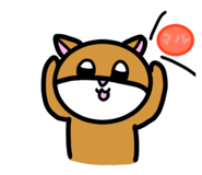 629613634