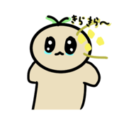 629613645