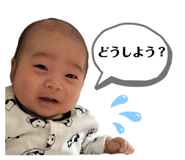 629614460