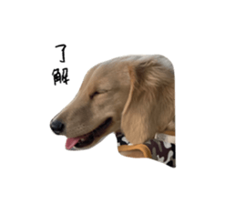 629652720