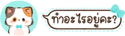 629675359