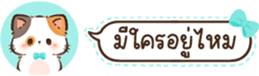629675363