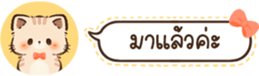629675364
