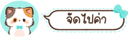 629675371