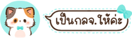 629675375