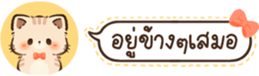 629675376