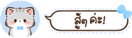 629675377