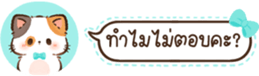 629675379