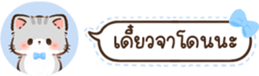 629675381