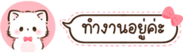 629675382