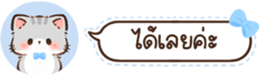 629675385