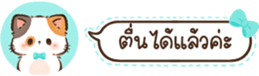 629675391