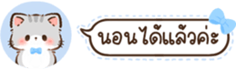 629675393