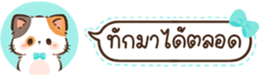 629675395