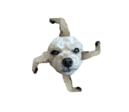 629710182
