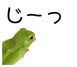 629795833