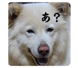 629818120