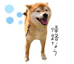 629827056