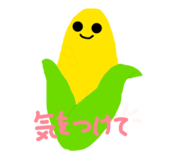 62984160