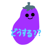62984161