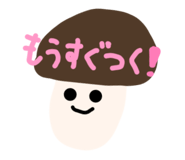 62984162