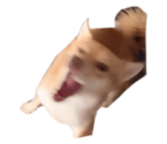 629857135