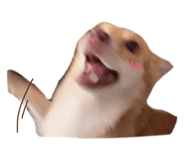 629857138