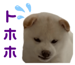 629906652