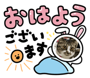 629919626