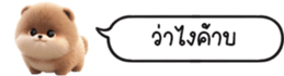 630141623