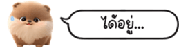 630141624