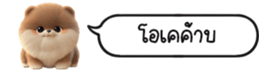 630141626