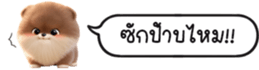630141632