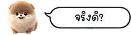630141635