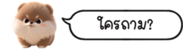 630141636