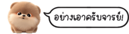 630141638