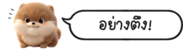 630141639