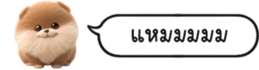 630141640