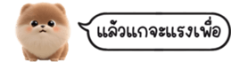 630141644
