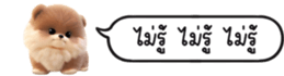 630141646