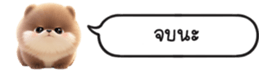 630141648