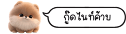 630141653